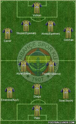 Fenerbahçe SK Formation 2014