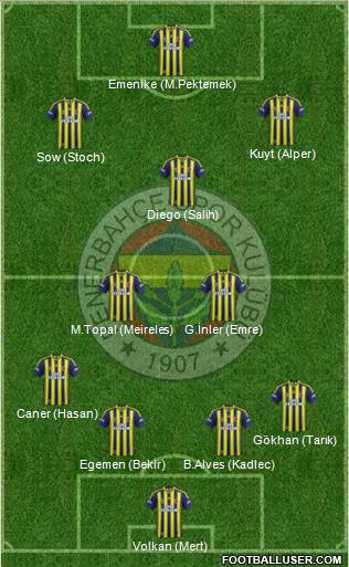 Fenerbahçe SK Formation 2014