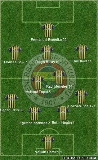 Fenerbahçe SK Formation 2014