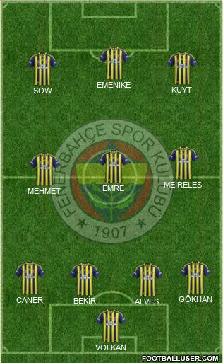 Fenerbahçe SK Formation 2014