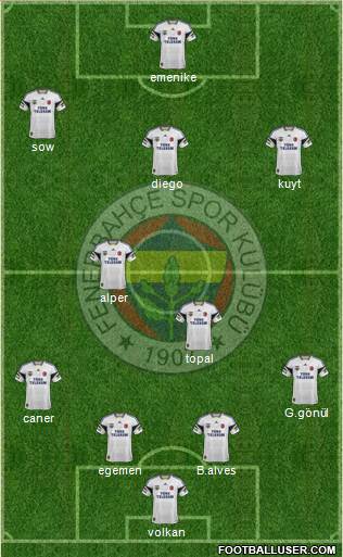 Fenerbahçe SK Formation 2014