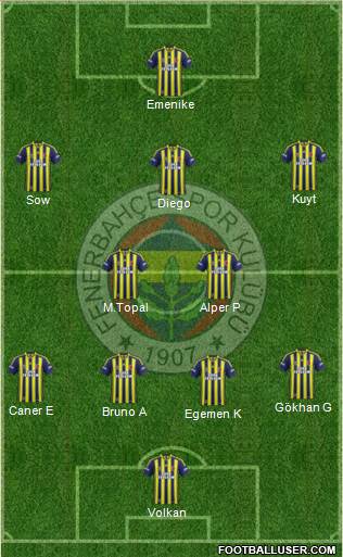 Fenerbahçe SK Formation 2014
