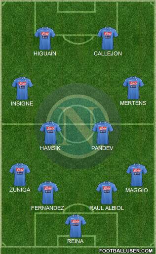 Napoli Formation 2014