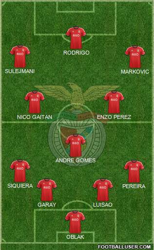 Sport Lisboa e Benfica - SAD Formation 2014