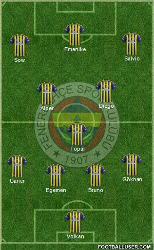 Fenerbahçe SK Formation 2014