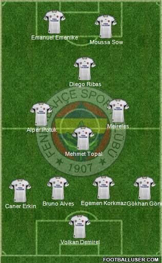 Fenerbahçe SK Formation 2014