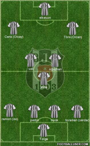 Besiktas JK Formation 2014
