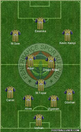 Fenerbahçe SK Formation 2014