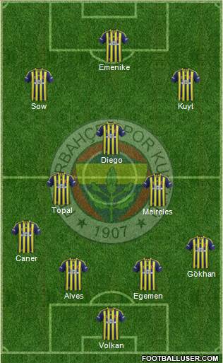 Fenerbahçe SK Formation 2014