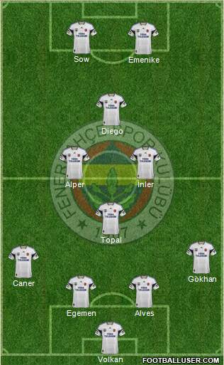 Fenerbahçe SK Formation 2014