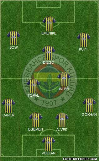 Fenerbahçe SK Formation 2014