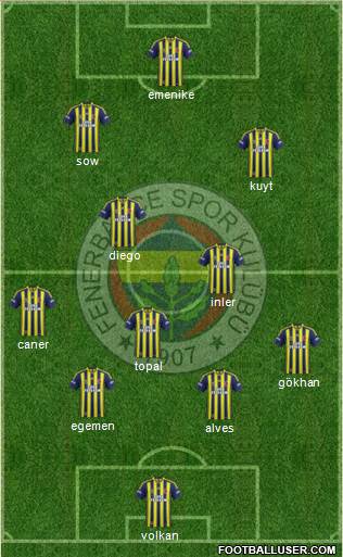 Fenerbahçe SK Formation 2014