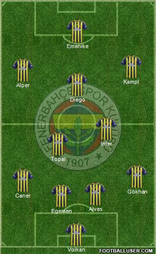 Fenerbahçe SK Formation 2014