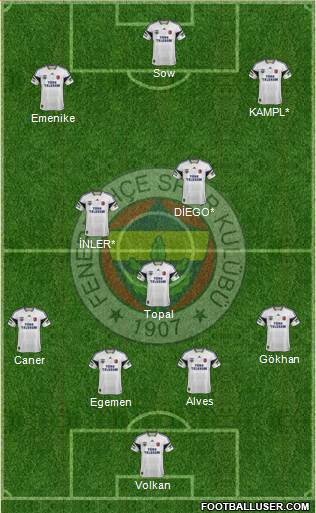 Fenerbahçe SK Formation 2014