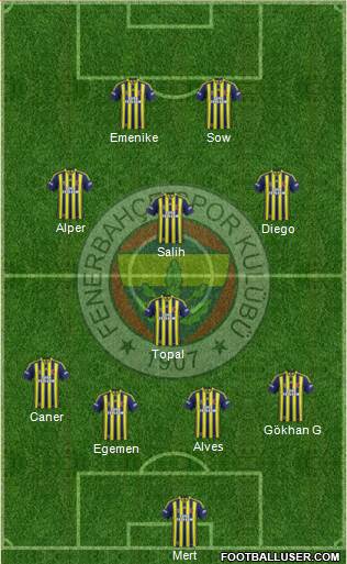 Fenerbahçe SK Formation 2014