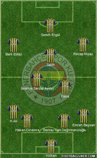 Fenerbahçe SK Formation 2014