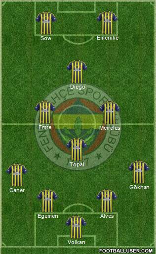 Fenerbahçe SK Formation 2014