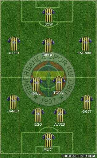 Fenerbahçe SK Formation 2014