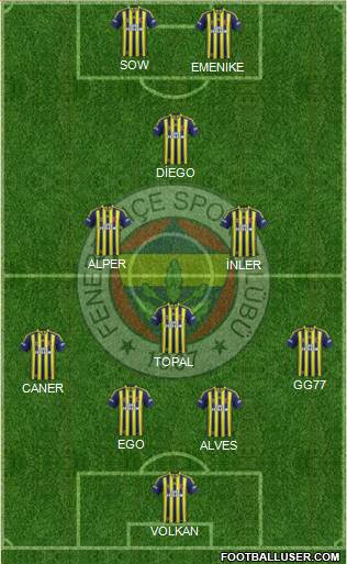 Fenerbahçe SK Formation 2014