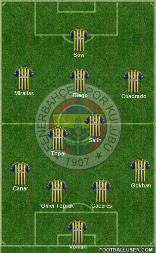 Fenerbahçe SK Formation 2014