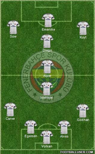 Fenerbahçe SK Formation 2014