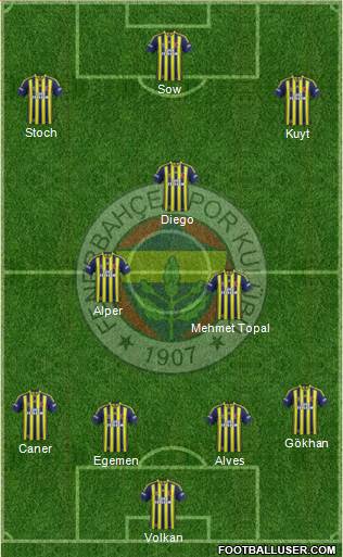 Fenerbahçe SK Formation 2014