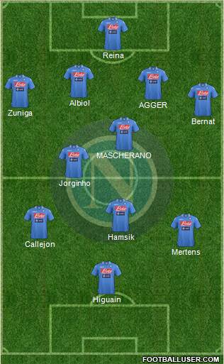 Napoli Formation 2014