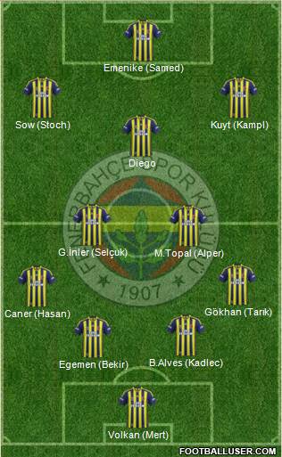 Fenerbahçe SK Formation 2014
