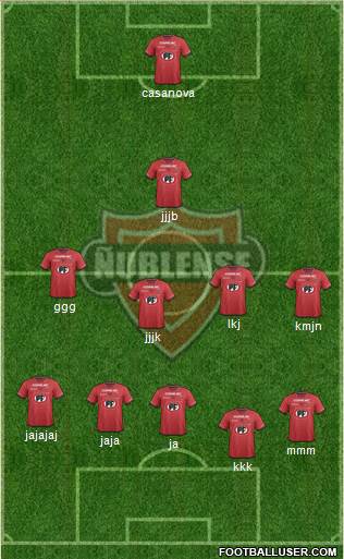 CD Ñublense S.A.D.P. Formation 2014