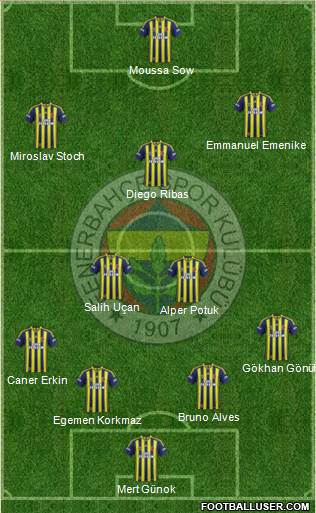Fenerbahçe SK Formation 2014
