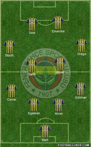 Fenerbahçe SK Formation 2014