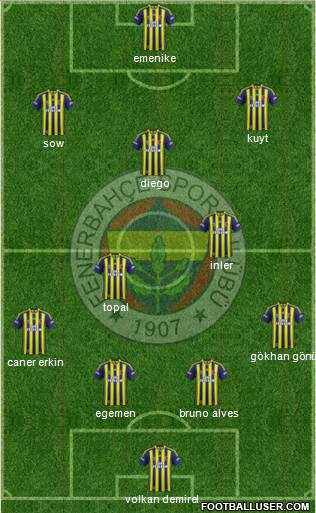 Fenerbahçe SK Formation 2014