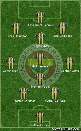 Fenerbahçe SK Formation 2014