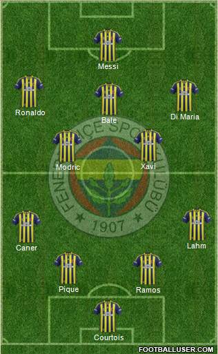 Fenerbahçe SK Formation 2014