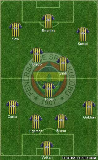 Fenerbahçe SK Formation 2014