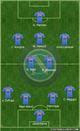 Napoli Formation 2014