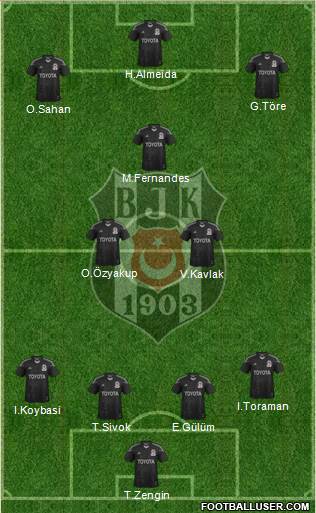 Besiktas JK Formation 2014