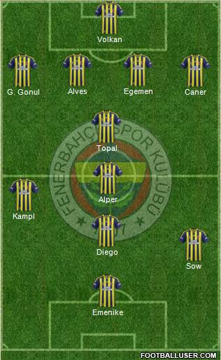 Fenerbahçe SK Formation 2014