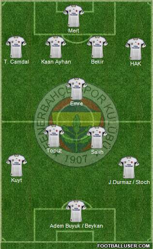Fenerbahçe SK Formation 2014