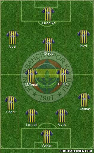 Fenerbahçe SK Formation 2014