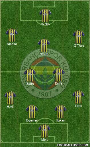Fenerbahçe SK Formation 2014
