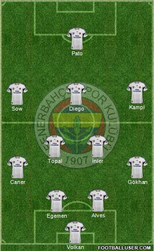 Fenerbahçe SK Formation 2014
