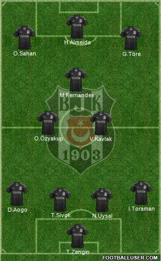 Besiktas JK Formation 2014