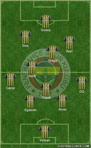 Fenerbahçe SK Formation 2014