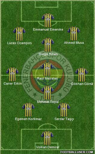 Fenerbahçe SK Formation 2014