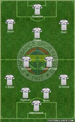Fenerbahçe SK Formation 2014