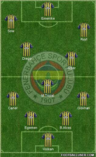 Fenerbahçe SK Formation 2014