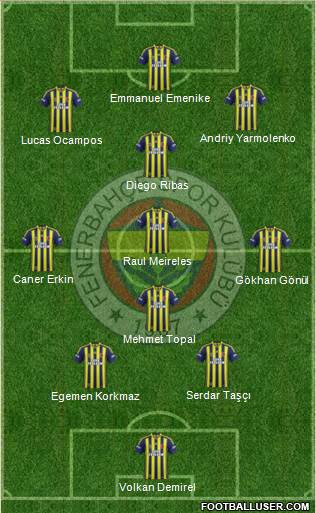 Fenerbahçe SK Formation 2014