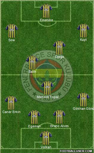 Fenerbahçe SK Formation 2014