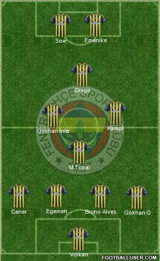 Fenerbahçe SK Formation 2014